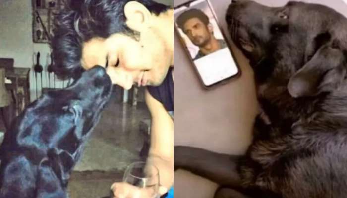 Sushant Singh Rajput : सुशांतनंतर तीन वर्षांनी 'तो' ही गेला सोडून, सुशांत सिंहच्या कुटुंबियांवर पुन्हा दु:खाचा डोंगर..