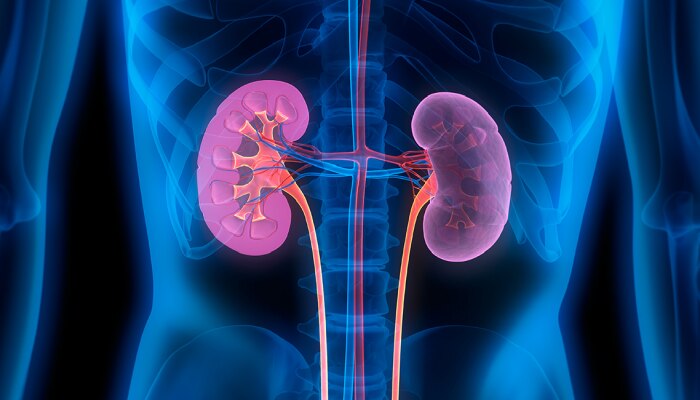 Signs of Kidney Failure : किडनी खराब झाली असेल तर तुमचं शरीर देईल &#039;हे&#039; संकेत!