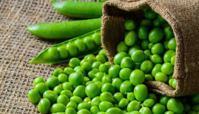 Green Peas: तुम्हालाही हिरवा वाटाणा आवडतो का? त्याआधी हे वाचा, उद्भवू शकतात आरोग्याच्या समस्या