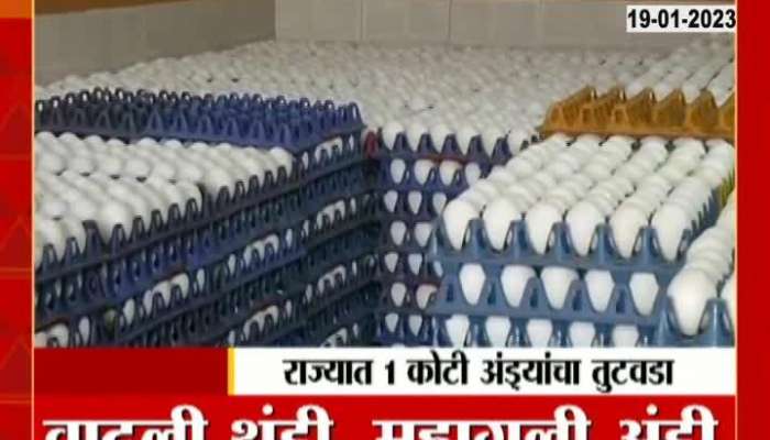 Special Report On Increased cold, expensive eggs Why is there a shortage of eggs in Maharashtra?