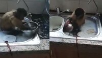 VIRAL VIDEO: स्वयंपाक घरात बेसिनमध्ये बसून माकडानं घासली भांडी? काय घडला प्रकार...