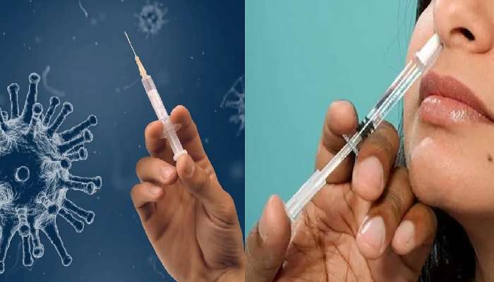 Covid Nasal Vaccine : कोरोना लसीकरणासंदर्भातली सर्वात मोठी बातमी 
