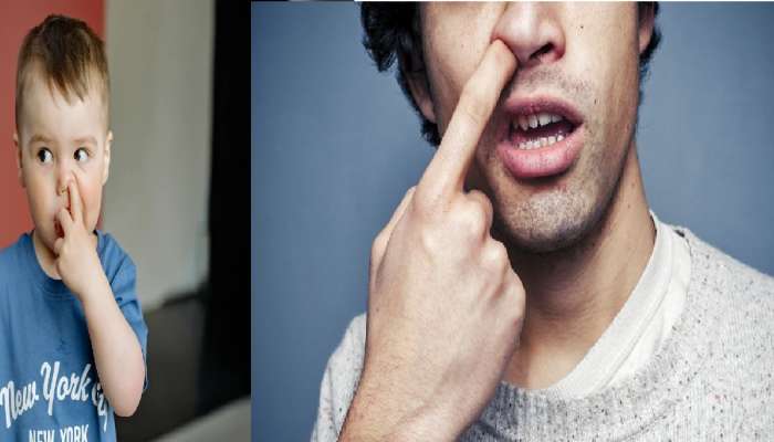 Finger in Nose Side Effect : तुम्हालाही नाकात बोट घालण्याची सवय आहे? मग पडू शकते महागात 