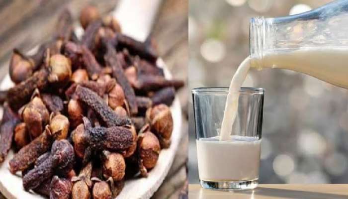 Clove Milk Benefits : दूधासोबत लवंगाचे सेवन तुमच्या आरोग्यासाठी ठरेल लाभदायक, जाणून घ्या सोपी पद्धत
