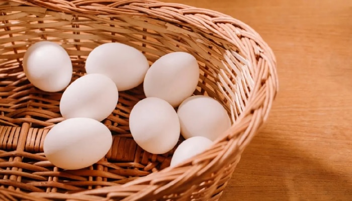 संडे हो या मंडे, खायला मिळेना अंडे; महाराष्ट्रात का पडला अंड्यांचा तुटवडा?