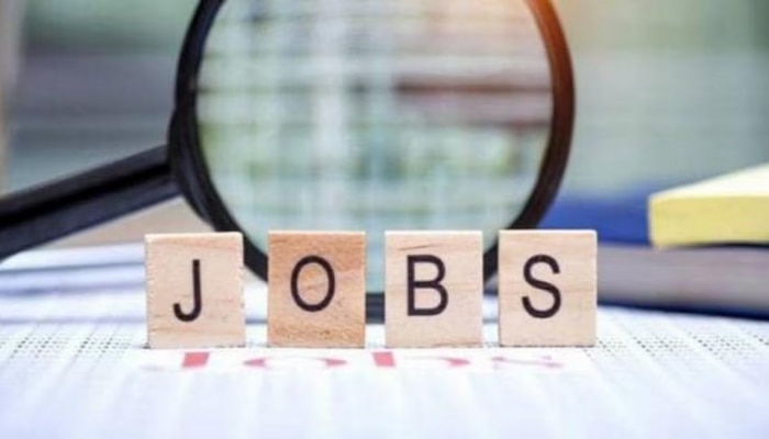 Government Jobs 2023 : बेरोजगारांसाठी आनंदाची बातमी, &#039;या&#039; पदांसाठी सरकारी नोकरी करण्याची उत्तम संधी