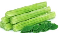 Drumstick Benefits: आरोग्यवर्धक शेवग्याच्या शेंगा, फायदे वाचाल तर बसेल आश्चर्याचा धक