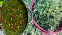 Winter Food : हिवाळ्यात एकदातरी बनवा ही भाजी; सोपी आणि हेल्दी.... करुन तर पाहा 