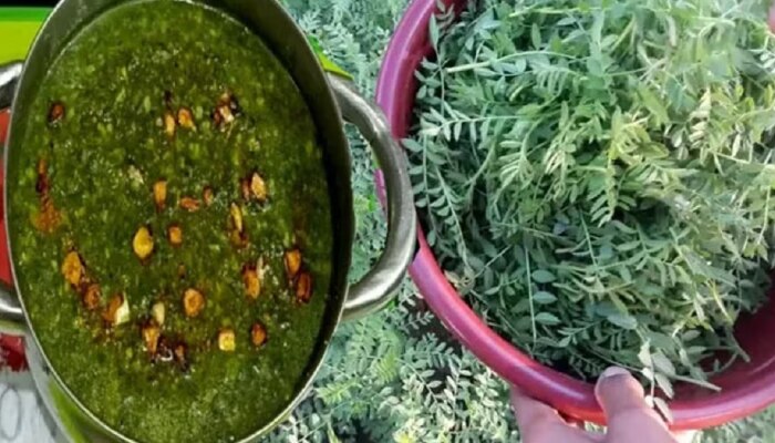 Green Chana Saag: हिवाळ्यात एकदातरी बनवा ही भाजी; सोपी आणि हेल्दी.... करुन तर पाहा 