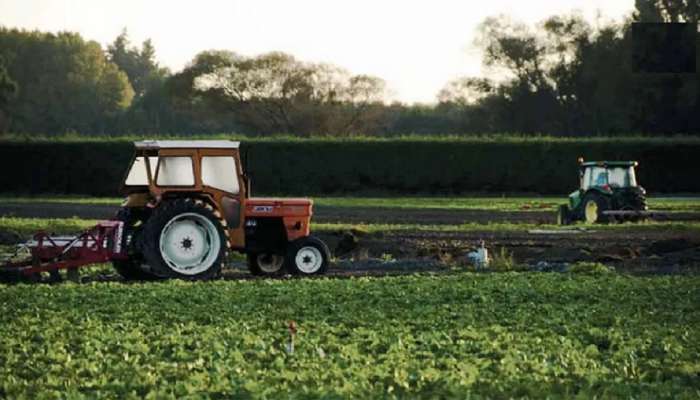 Budget 2023: अर्थसंकल्पात शेती आणि शेतकऱ्यांना काय मिळणार? वाचा सविस्तर बातमी 