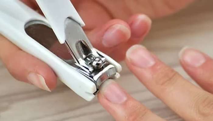 Nail Cut Tips: नखं कापण्याचं देखील शास्त्र असतं, कोणत्या दिवशी काय फळ मिळतं? जाणून घ्या