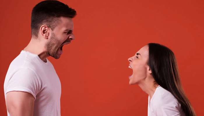 Relationship Tips : तुमच्या जोडीदारावर राग आला तर भांडणाऐवजी या टिप्स वापरा, प्रेम पूर्वीपेक्षाही वाढेल