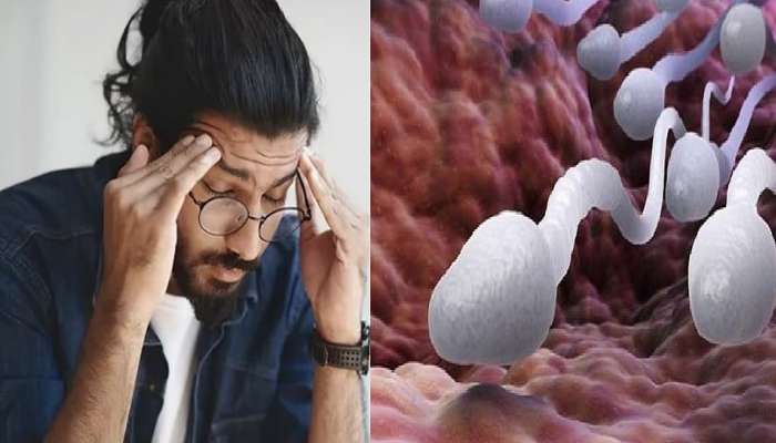 Sperm Count in Males:&#039;या&#039; वाईट सवयींमुळे पुरूषांमध्ये स्पर्म काऊंट होतात कमी? 