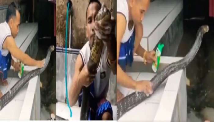 viral snake video : कोब्रा सापाने केली शाम्पूने अंघोळ..Video पाहून येईल अंगावर काटा