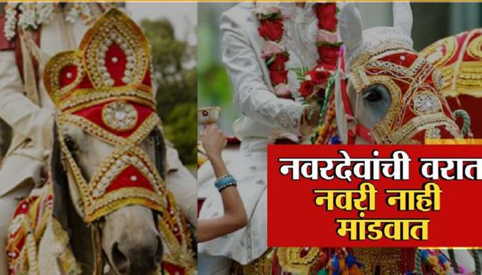 Marriage : शेकडो नवरदेवांना लग्नाच्या मंडपातच मिळाला धोका