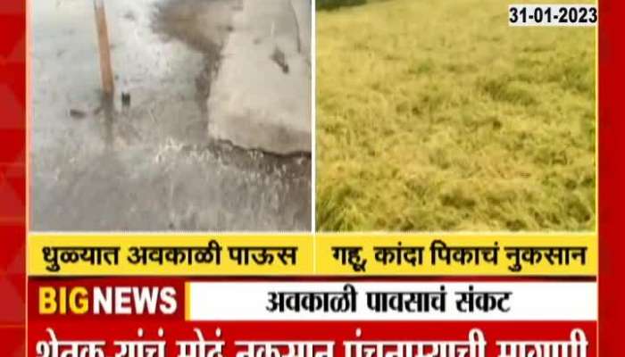 Dhule Unseasonal Heavy Rainfall With Strom Damage Crops