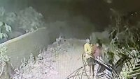 Crime News : पनवेल हादरलं! घरी सोडण्याच्या बहाण्याने रिक्षाचालकाचा महिलेवर अत्याचार