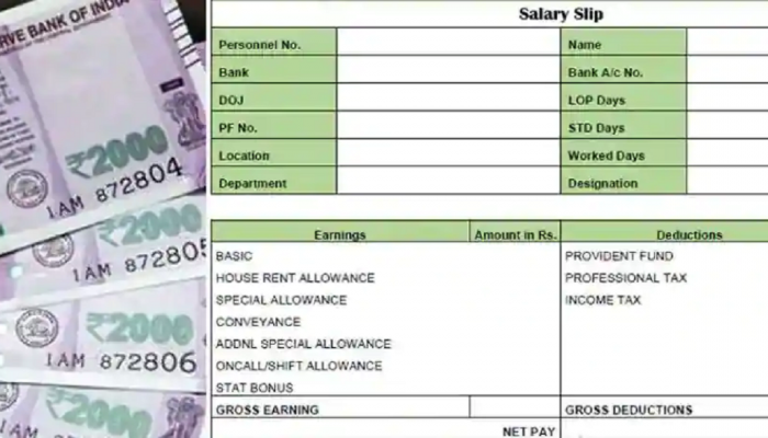 Basic, Net आणि Gross Salary मधील नेमका फरक काय? सोप्या शब्दांत जाणून घ्या 