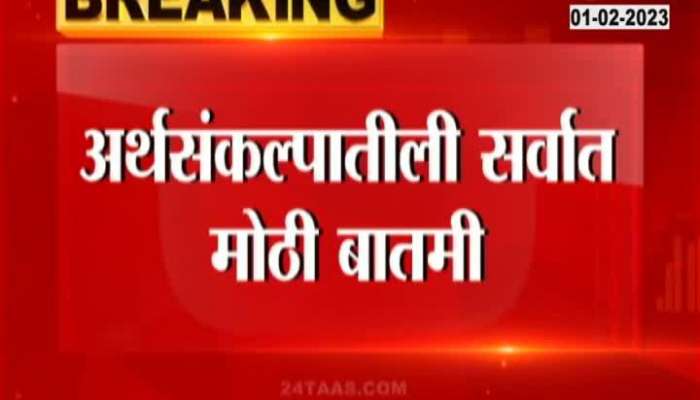 Budget to attract voters or for development of India? See what economists say?