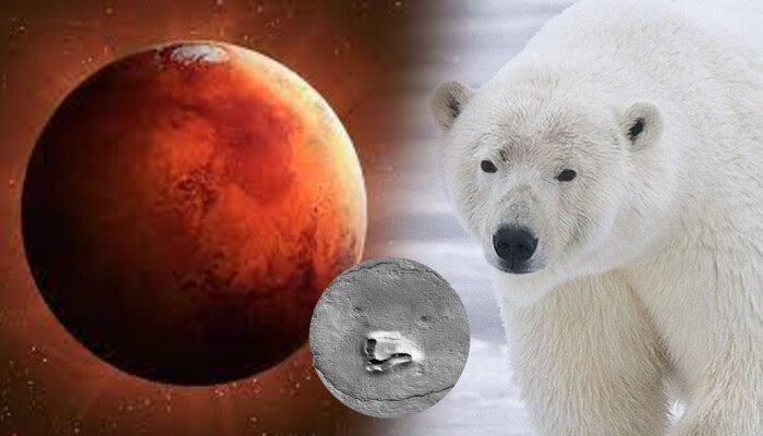 Teddy Bear on Mars: मंगळ ग्रहावरील &#039;त्या&#039; आकृतीने वेधलं सर्वांचं लक्ष! अनेकांना दिसला प्राणी; तुम्हाला ओळखता येतोय का?