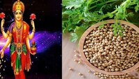 Dhania Ke Upay: इवलेसे धने दूर करतील दारिद्र्य; घरात कायम नांदेल लक्ष्मी 