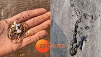 हा तर चमत्कारच झाला! भर समुद्रात हरवलेली सोन्याची चैन 48 तासांनी पुन्हा सापडली