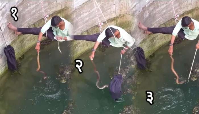 King Cobra ला वाचवण्यासाठी तो विहिरीत उतरला अन्...; अंगावर काटा आणणारा Video पाहिलात का?