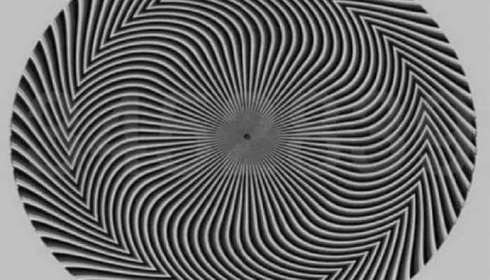 Optical Illusion: 'या' फोटोत लपलेले सात नंबर शोधून दाखवा, तुमच्याकडे 30 सेकंदाची वेळ 
