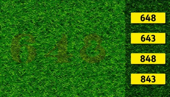 Optical Illusion: 'या' फोटोत लपलेले नंबर शोधून दाखवा, तुमच्याकडे 30 सेकंदाची वेळ 