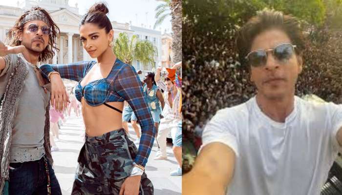 Shah Rukh चं नंबर 1 खान, कमाईच्या बाबतीत 'टायगर' आणि 'पीकेला धोबी पछाड