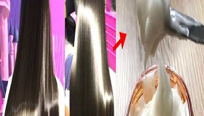 Hair Spa : 10 रुपयात घरीच बनवा हजारो किंमतीची हेअर स्पा क्रीम ...