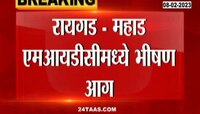Mahad Fire : महाड MIDC मध्ये मल्लक स्पेशलिटी कंपनीला भीषण आग; परीसरात घबरा