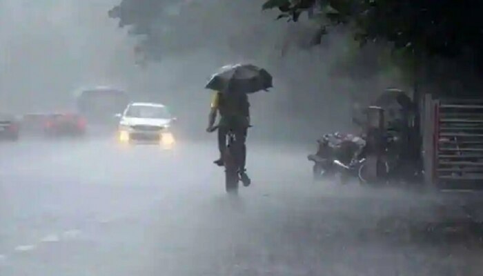 Weather Update: &#039;या&#039; भागात सोसाट्याचा वारा सुटणार, पाऊस झोडपणार; हवामान विभागाचा Alert 