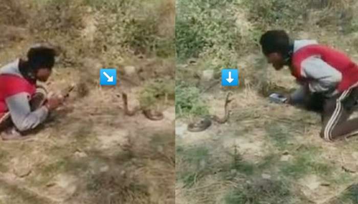 सापाचा 'फणा' तोंडात घालून सगळ्या गावाला दाखवत होता करामत, त्यानंतर जे झालं ते पाहून थरकाप उडेल