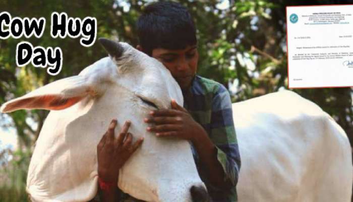 No Cow Hug Day On February 14: केंद्र सरकारचा Cow Hug Day वरुन U-Turn; मागे घेतलं आवाहन