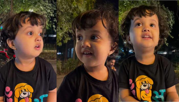 Viral Video : 'अयि गिरि नन्दिनी नन्दिती...' चिमुकलीचे हे गोड स्वर तुम्हाला नक्कीच वेड लावतील