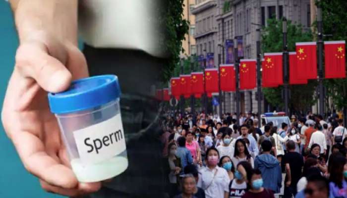 China Sperm Donation: चीनमधील विद्यार्थ्यांना Sperm Donor होण्यासाठी ऑफर; मिळणार घसघशीत मोबदला