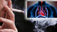 Lungs Health: अति सिगारेट ओढणाऱ्यांचं फुफ्फुस देखील राहतील हेल्दी, फक्त 'या' पदार्था