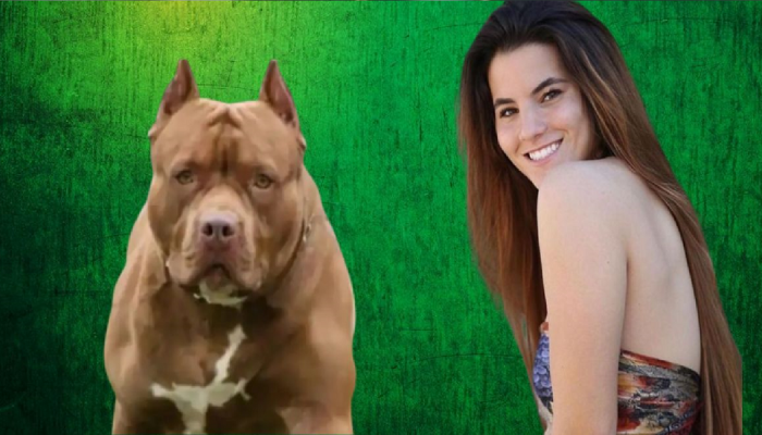 Pitbull Dog ने केला होता हल्ला, 6 सर्जरीनंतर आता असा बदलला मॉडेलचा चेहरा, पाहून बसेल धक्का