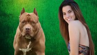 Pitbull Dog ने केला होता हल्ला, 6 सर्जरीनंतर आता असा बदलला मॉडेलचा चेहरा