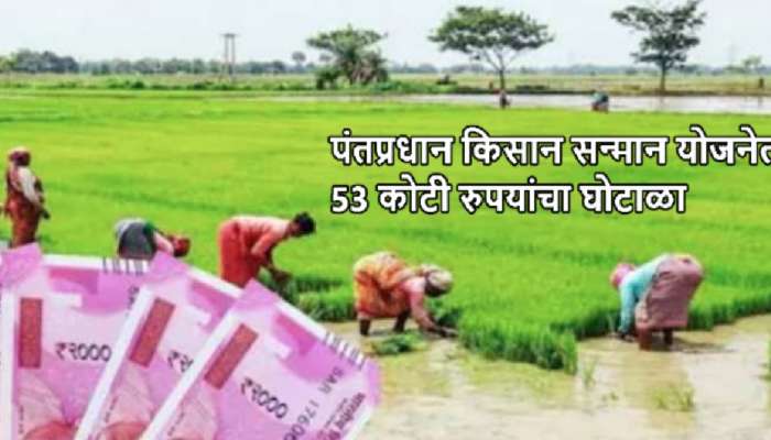 PM Kisan Samman Nidhi योजनेत 43 कोटींचा घोटाळा; 53 हजार अपात्र शेतकऱ्यांना मिळाला लाभ