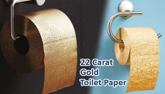 Most Expensive Toilet Paper: सर्वात महागडा टॉयलेट पेपर! एका रोलच्या किंमतीत विकत घेता येईल Helicopter