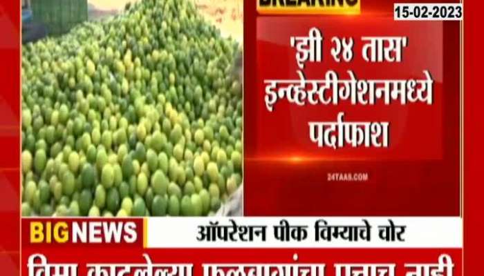 Zee 24Taas Investigation Report Operation Crop Insurance Chor 