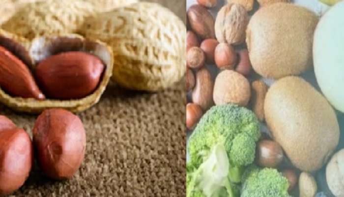 High Ammonia Foods: सावधान ! हे 5 पदार्थ लिव्हर आणि किडनीसाठी घातक, धोकादायक ठरतो त्यातील अमोनिया