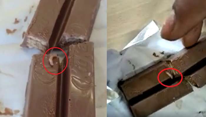 KitKat मध्ये जिवंत अळ्या; चॉकलेट खाणाऱ्यांचंही डोकं चक्रावलं
