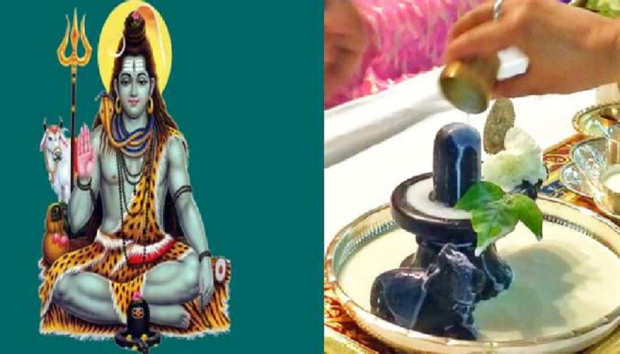 Mahashivratri 2023 :  पंचांगानुसार 30 वर्षांनंतर आज खास योग, पुत्रप्राप्तीपासून धनसंपदासाठी करा 'हे' उपाय 