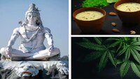 Mahashivratri 2023 : भांग पिण्याचे फायदे तुम्हाला माहिती आहे का?