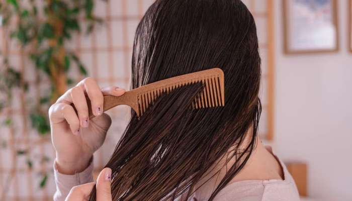 Hair Fall Problem:ओले केस असताना कंगवा फिरवल्यावर टक्कल पडते का? जाणून घ्या  