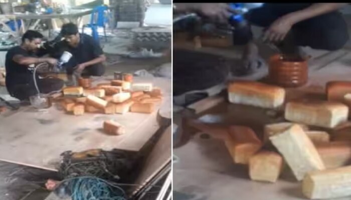 Viral Video : Bread खाण्यापूर्वी एकदा &#039;हा&#039; व्हिडीओ बघा 
