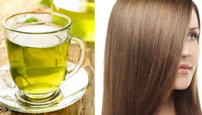 Hair Care Tips: घरच्या घरी असा तयार करा Green Tea Herbal Shampoo, केस होतील मुलायम आणि रेशमी